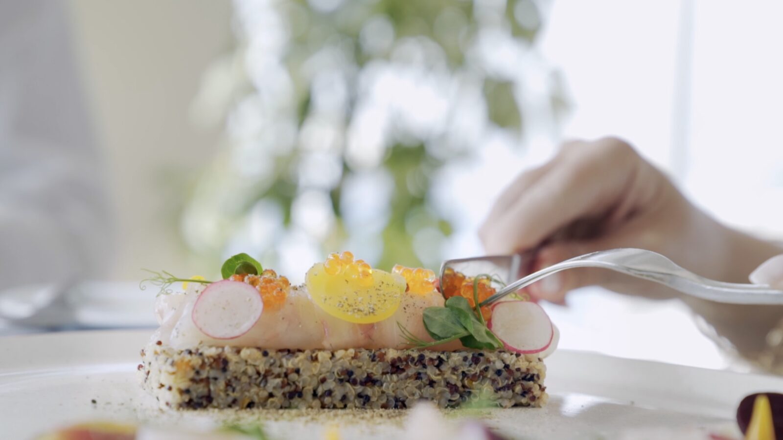 Gastronomy at close range