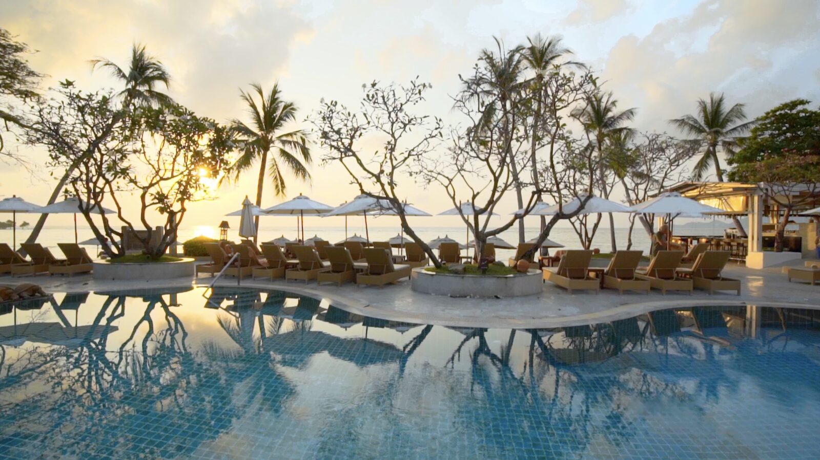 The pool at Chaweng Regent at golden hour, palms against the sky